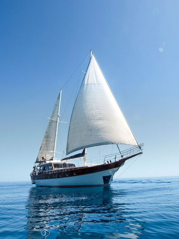 Luxus Gulets charter